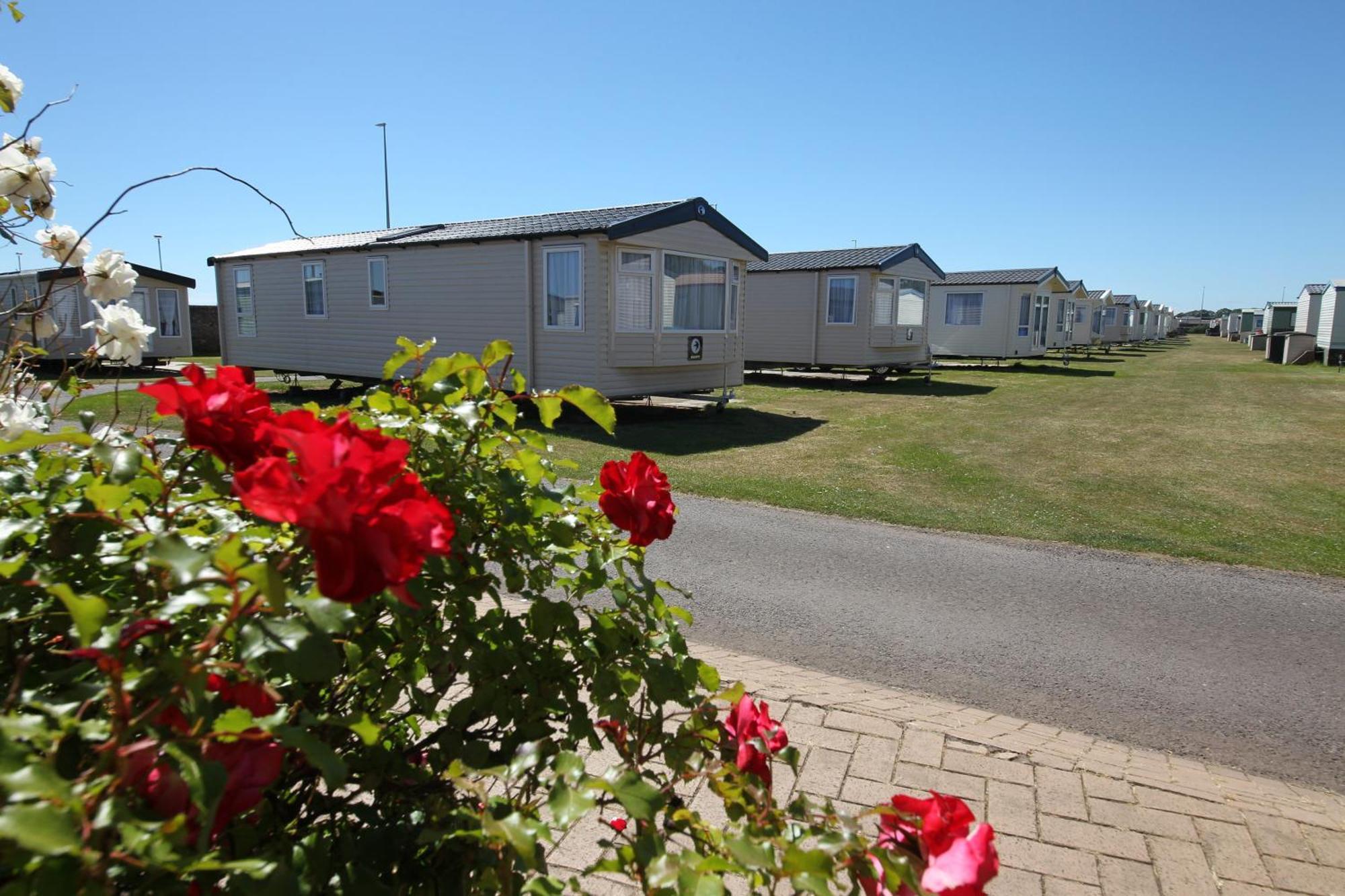 Red Lion Holiday Park Arbroath Exteriör bild